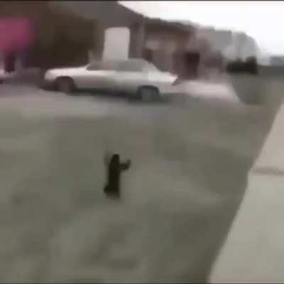 SquarePosting - Video #5947