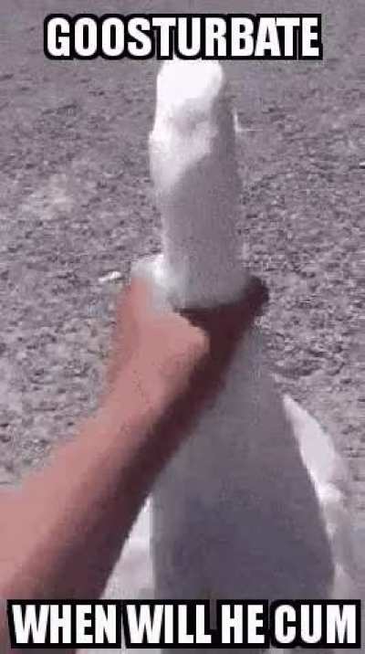 🙈😳