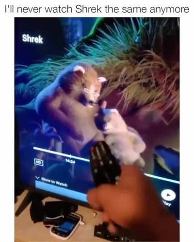 Bruh