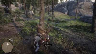Well that’s great, thanks.