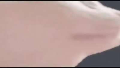 canci&oacute;n graciosa