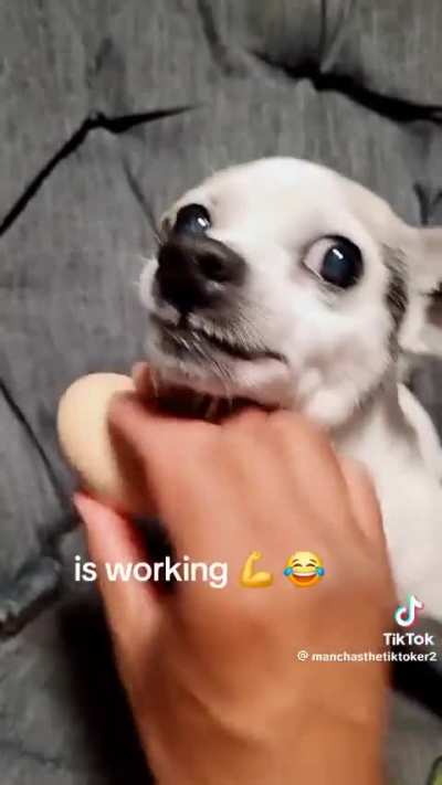 Wunkxorcism 