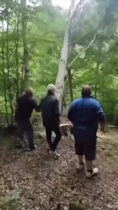 Maybe Maybe Maybe 