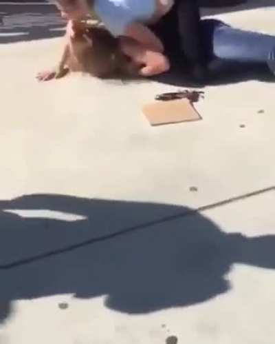 Bully turned in to her bitch