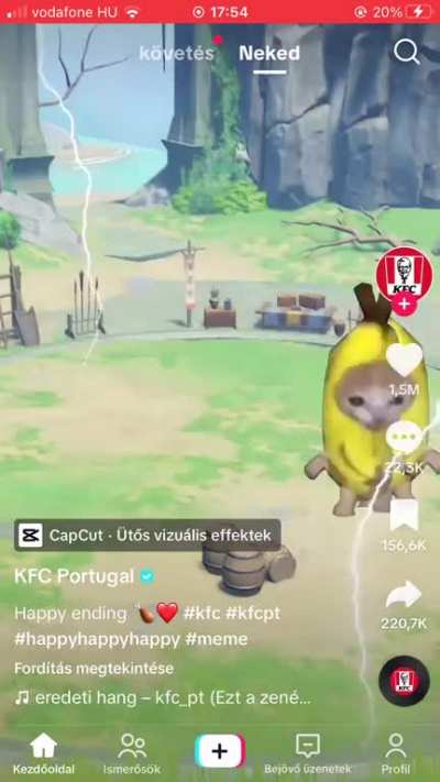 Ain&acirc;t no fucking way kfc portugal posted this