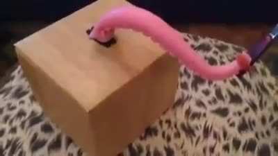 Tentacle knife