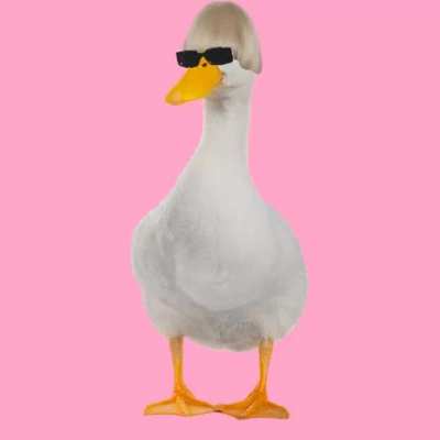 lol quack