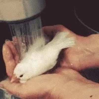 Bath Time