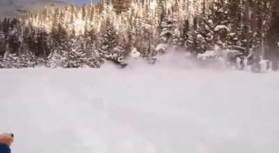 The size and speed of a moose in about 3 feet of snow