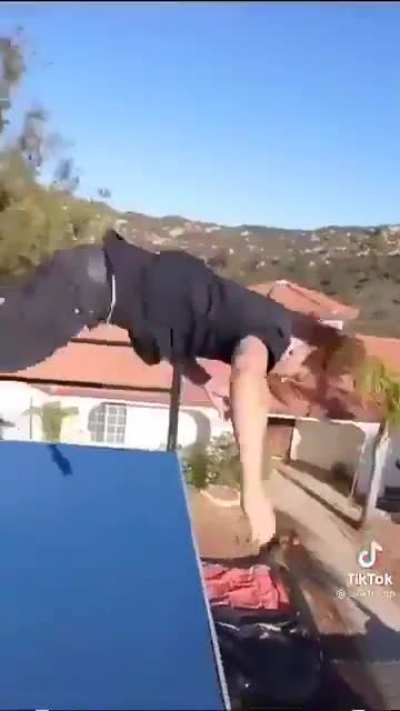What a backflip