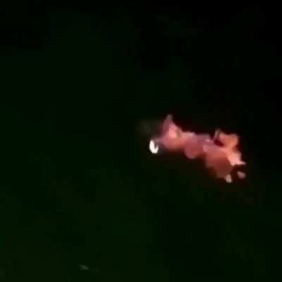 Disgusting Man Burns Cat Alive