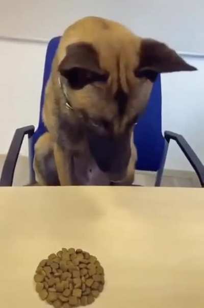 The look at the end says it all
