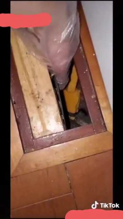 Roommate kicked her out so she posted videos of her getting revenge (pouring old hair dye into his shampoo, ketchup into his drawers, bleach in his detergent and this)