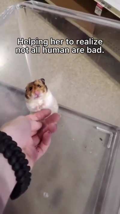 Sad