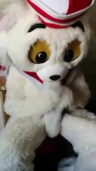 furry_irl