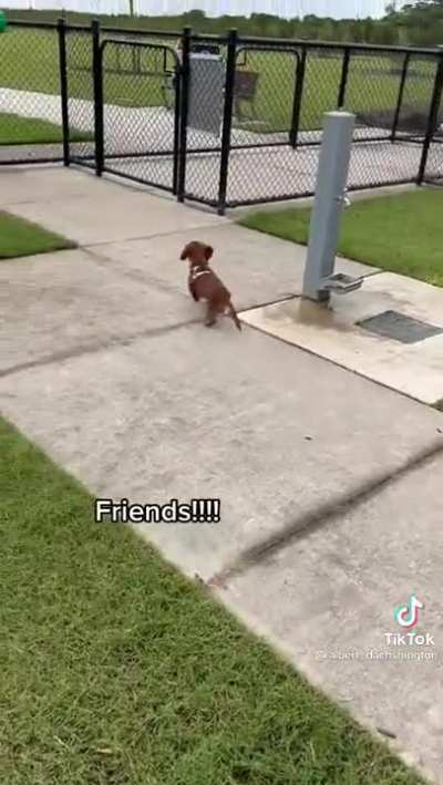 new friends!