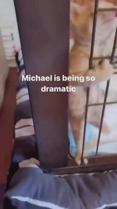 HALP..!!