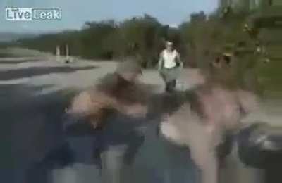 Did anyone ever find out what happened to Thomas? He wasn't doing so great by the end of the video