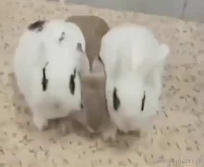 Magnetic wunks