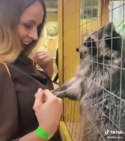 This one puts the trash in trashpanda