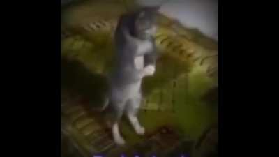 Haram