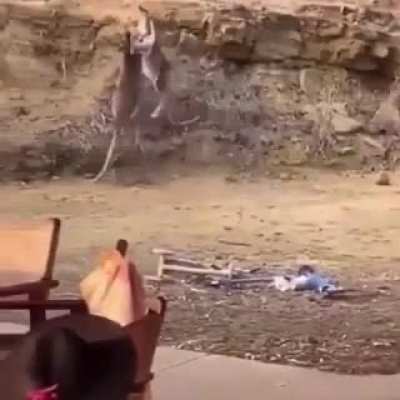 HMFT after I fight with a kangaroo who&rsquo;s much better at combat than me