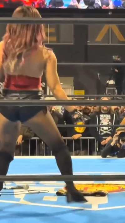 Mina Shirakawa