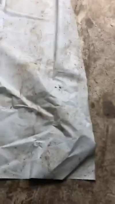 I&rsquo;m now burning down this warehouse.