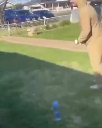 Only in Australia...&amp;lt;&deg;_&deg;&amp;gt;