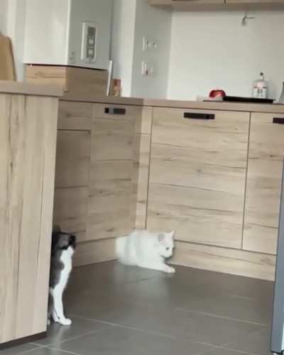 &ldquo;You have no idea what I&rsquo;ve just been through!&rdquo;