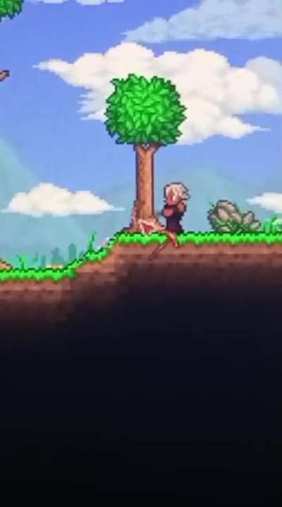 Gifted my friend terraria Via steam and this is what she sent me.