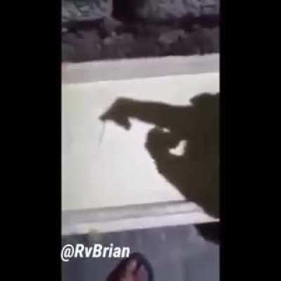 A lovers tale by hand shadow.