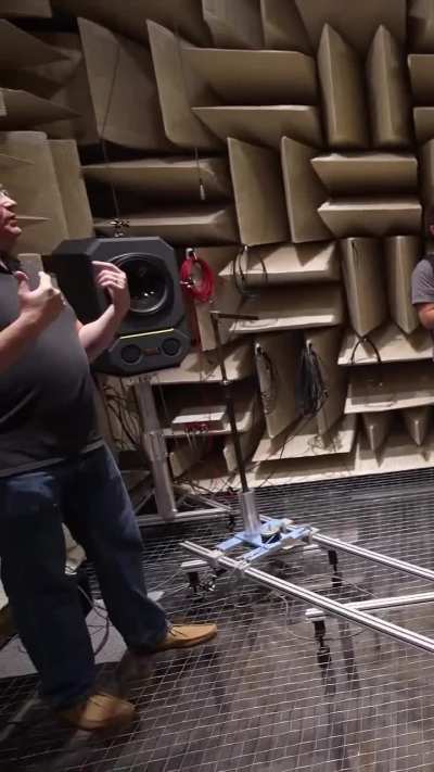Quietest room on earth
