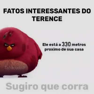 eu ja corri