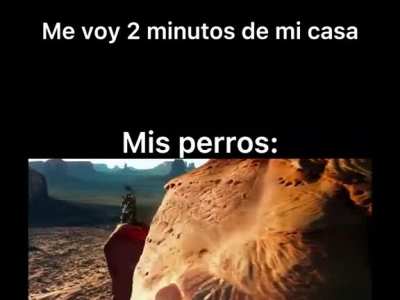 Son los mas fieles