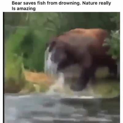 Nature