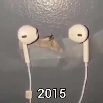 Polillas 2015