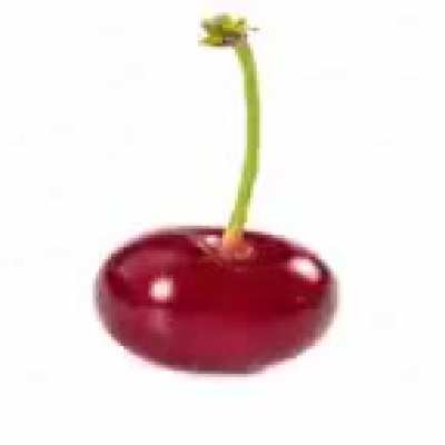 moldy 🍒