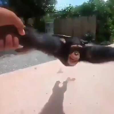 ❤️❤️❤️🐒🐒