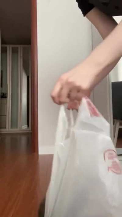 Bag!? Bag!!!
