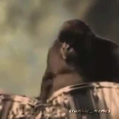 Eu sei que &eacute; repost s&oacute; quero a m&uacute;sica