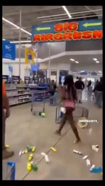 🇺🇸USA - SENSELESS SPRING BREAK MAYHEM IN FLORIDA A flash mob of about 40 young, black males ran through a Walmart screaming, yelling, and laughing as they demolished the store for fun. Customers stood by in apparent shock. Authorities said they "wouldn&rsquo;t 