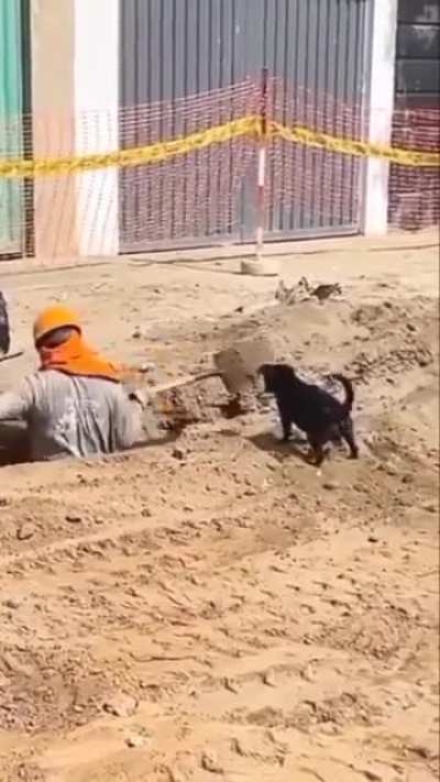 Little cute helper