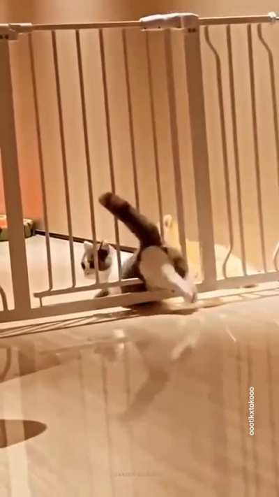 Watch till end to laugh out loud ! 😂😂