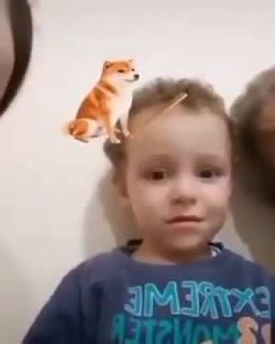 Bonk