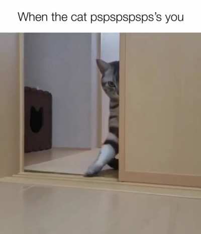 No good can come of this.