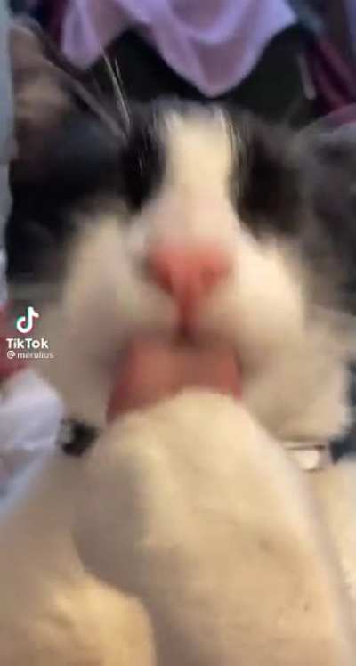 que