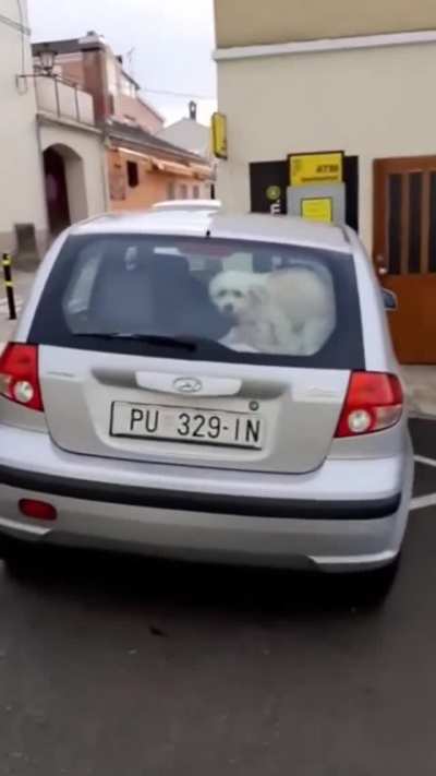 Just because you're in your car doesn't mean people can't see what you're doing...