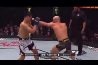 MMA summed up in 1 video 😂