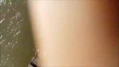 Girl pulled into water by seal and saved my man